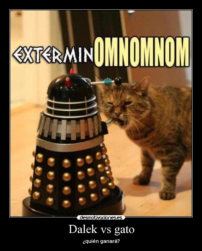 Dalek vs gato - 
