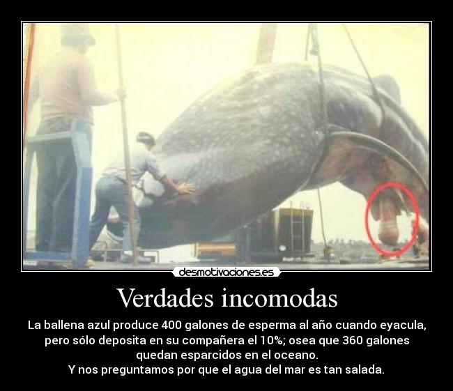 Verdades incomodas -