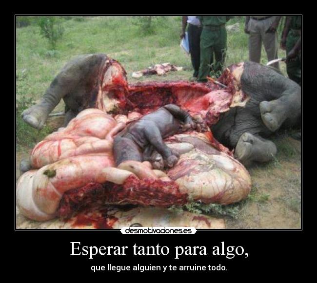 Esperar tanto para algo, - que llegue alguien y te arruine todo.