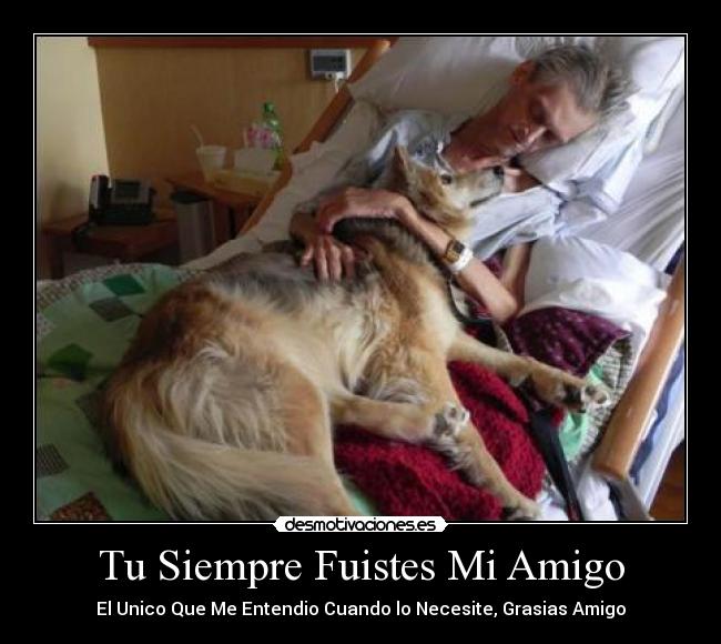 Tu Siempre Fuistes Mi Amigo - El Unico Que Me Entendio Cuando lo Necesite, Grasias Amigo