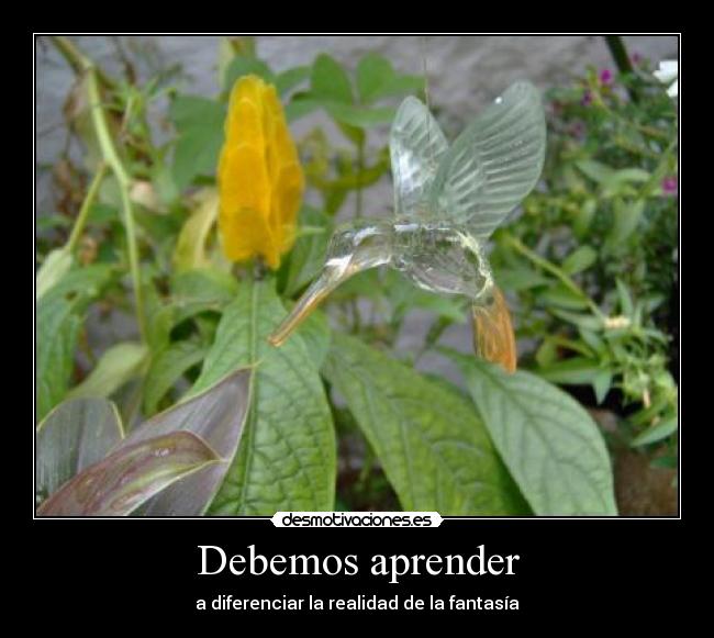 Debemos aprender - a diferenciar la realidad de la fantasía