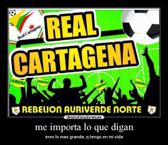 carteles real desmotivaciones