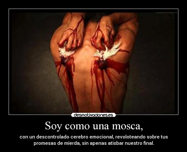 Soy como una mosca, - con un descontrolado cerebro emocional, revoloteando sobre tus
promesas de mierda, sin apenas atisbar nuestro final.