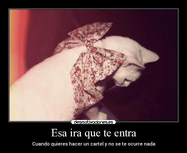 Esa ira que te entra - Cuando quieres hacer un cartel y no se te ocurre nada
