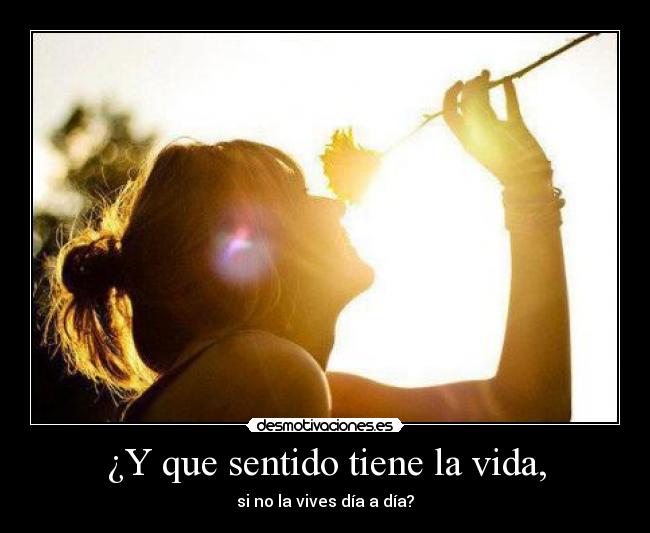 ¿Y que sentido tiene la vida, -