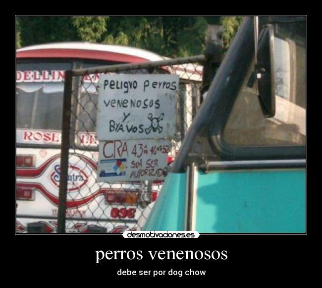 perros venenosos -