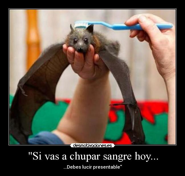 Si vas a chupar sangre hoy... -
