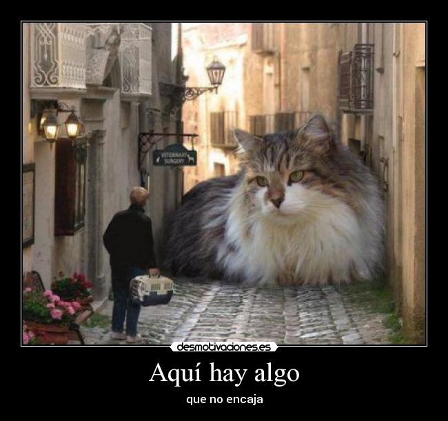 carteles encajar desmotivaciones