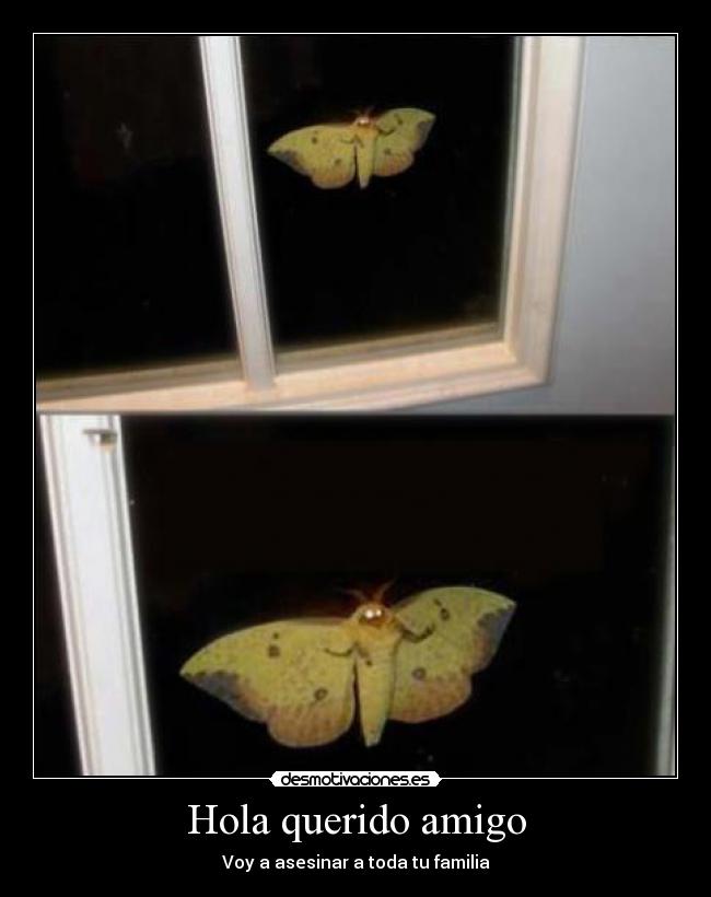Hola querido amigo - Voy a asesinar a toda tu familia