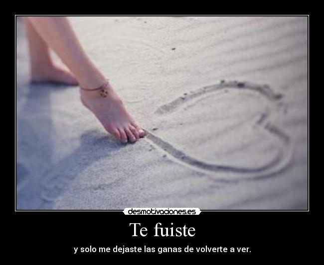 Te fuiste - 