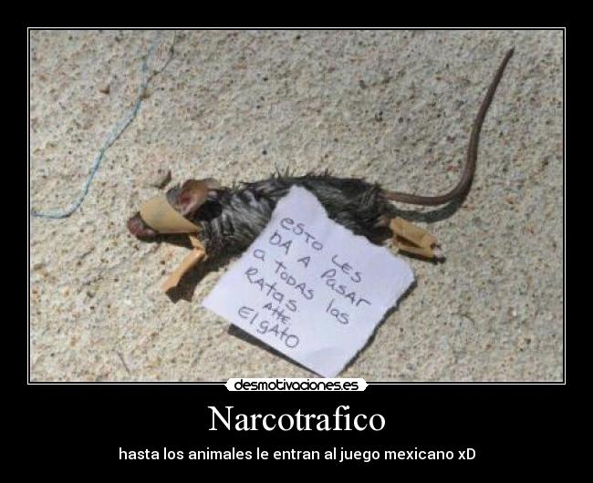 Narcotrafico - 