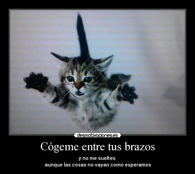 Cógeme entre tus brazos -