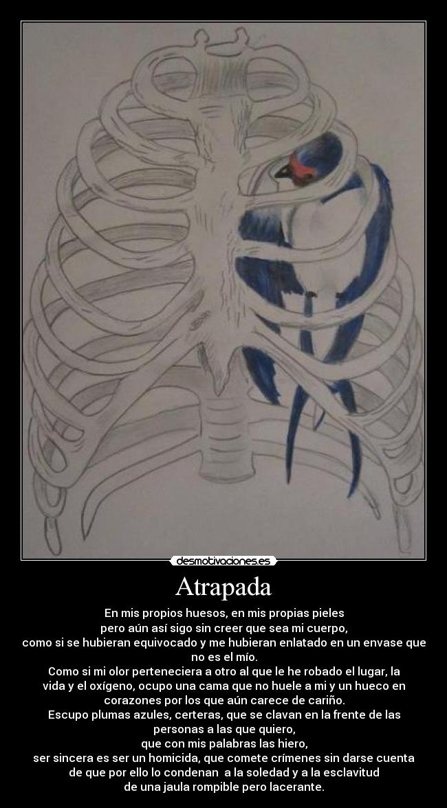 Atrapada - En mis propios huesos, en mis propias pieles
pero aún así sigo sin creer que sea mi cuerpo,
como si se hubieran equivocado y me hubieran enlatado en un envase que
no es el mío.
Como si mi olor perteneciera a otro al que le he robado el lugar, la
vida y el oxígeno, ocupo una cama que no huele a mi y un hueco en
corazones por los que aún carece de cariño.
Escupo plumas azules, certeras, que se clavan en la frente de las
personas a las que quiero,
que con mis palabras las hiero,
ser sincera es ser un homicida, que comete crímenes sin darse cuenta
de que por ello lo condenan  a la soledad y a la esclavitud
de una jaula rompible pero lacerante.