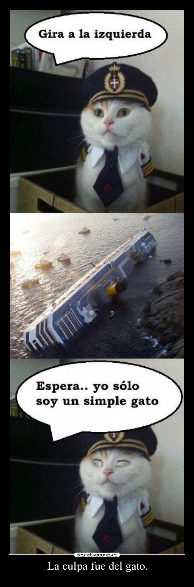 La culpa fue del gato. - 