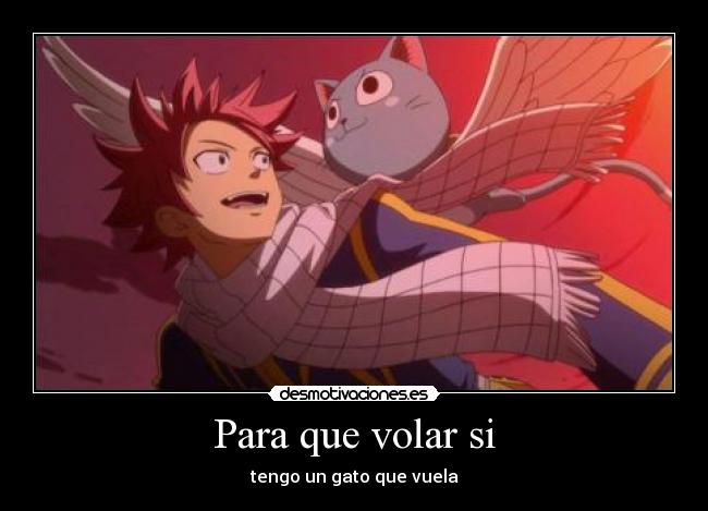 Para que volar si - tengo un gato que vuela
