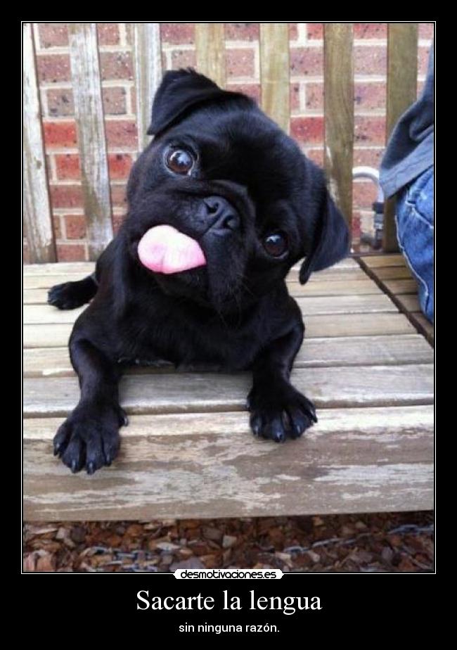Sacarte la lengua - 