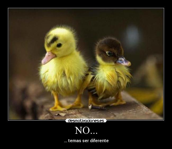 NO... - ... temas ser diferente