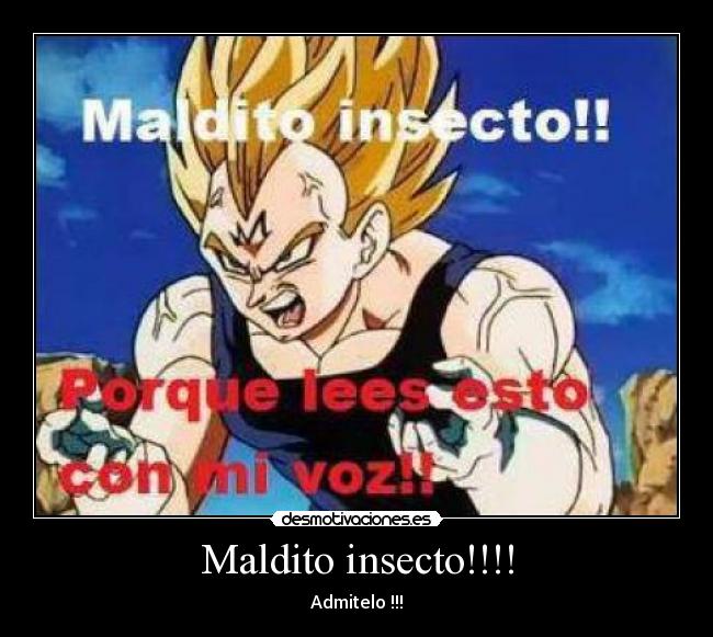 Maldito insecto!!!! - Admitelo !!!