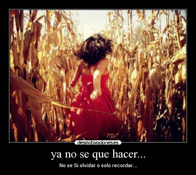 ya no se que hacer... - No se Si olvidar o solo recordar....