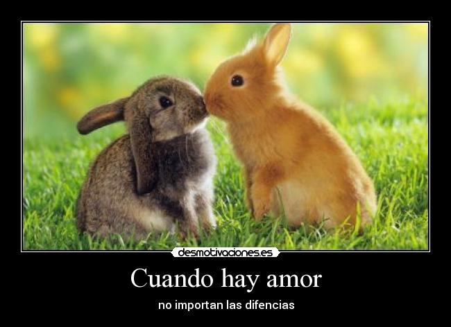 Cuando hay amor - no importan las difencias