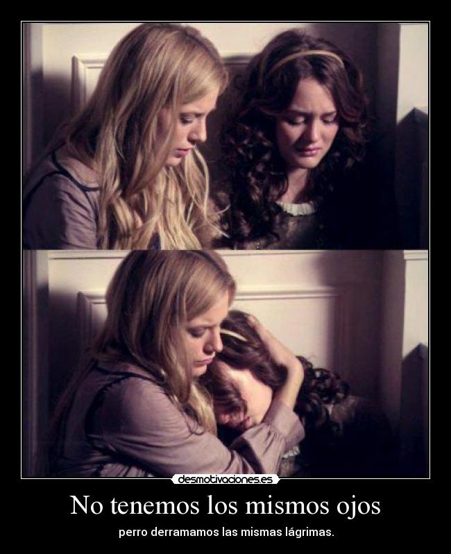 No tenemos los mismos ojos - perro derramamos las mismas lágrimas.