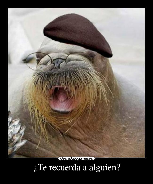 ¿Te recuerda a alguien? - 