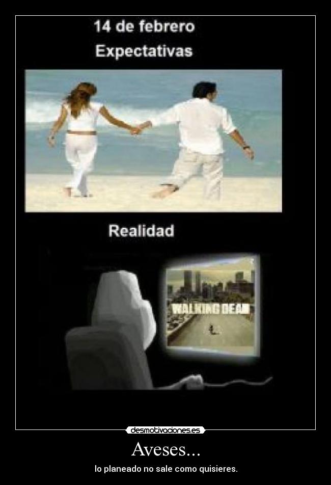 Aveses... - lo planeado no sale como quisieres.