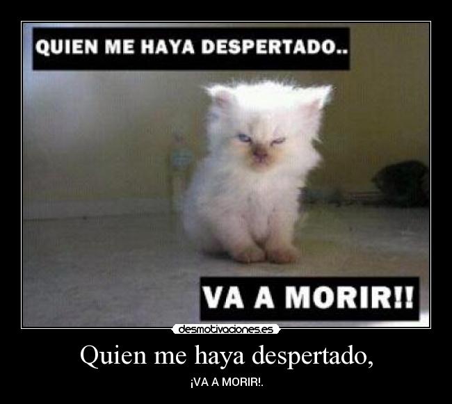 Quien me haya despertado, -