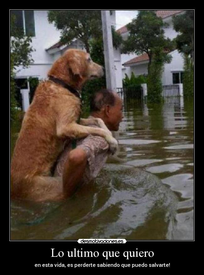 Lo ultimo que quiero - en esta vida, es perderte sabiendo que puedo salvarte!
