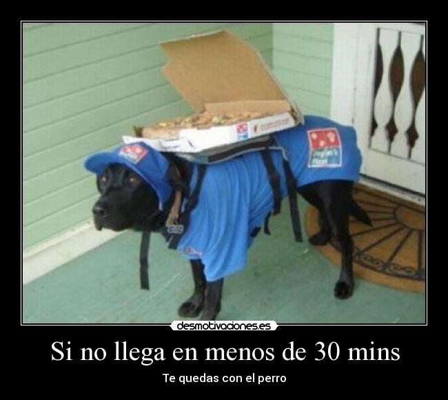 Si no llega en menos de 30 mins - Te quedas con el perro