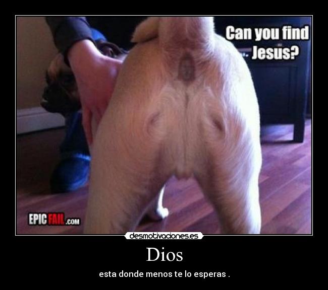 Dios -