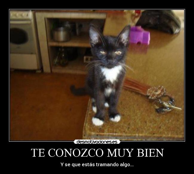 TE CONOZCO MUY BIEN -
