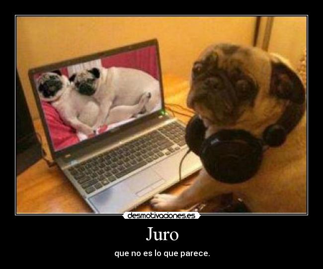 Juro - que no es lo que parece.