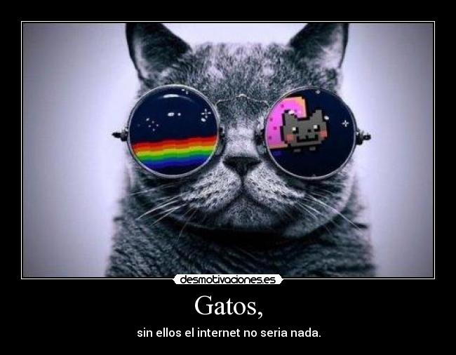 Gatos, -