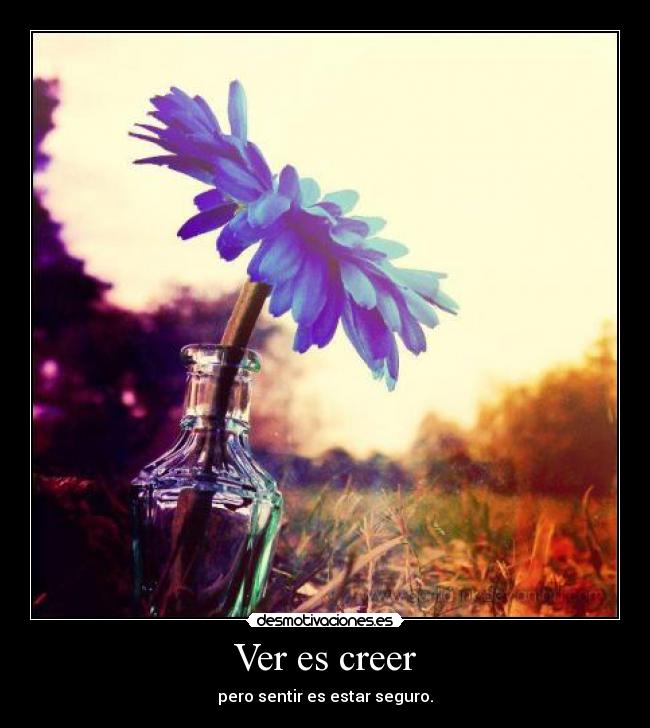 Ver es creer - 