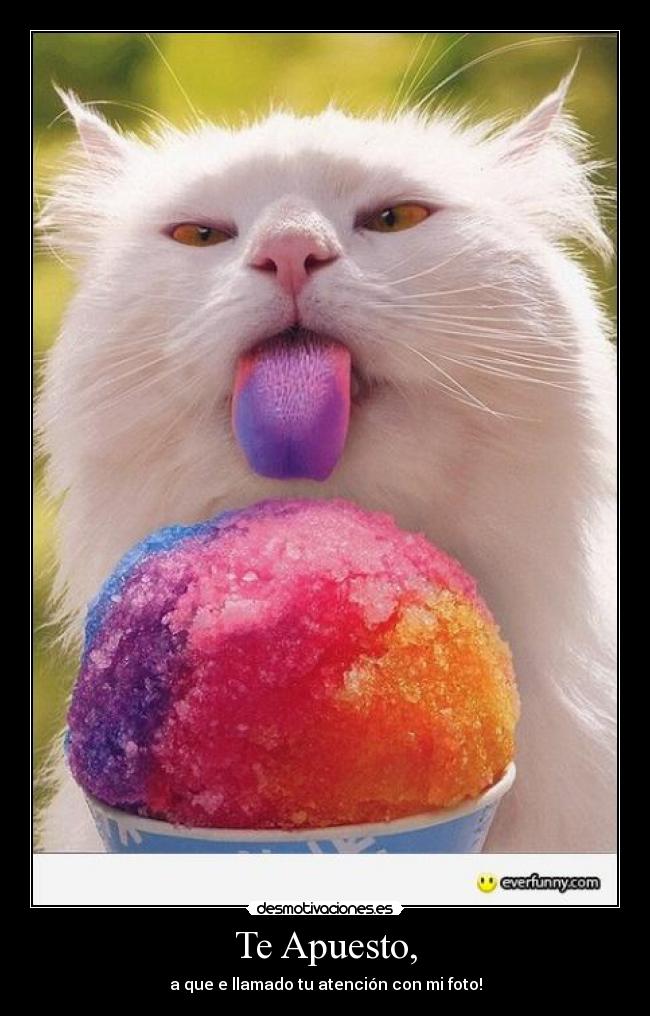 Te Apuesto, - a que e llamado tu atención con mi foto!