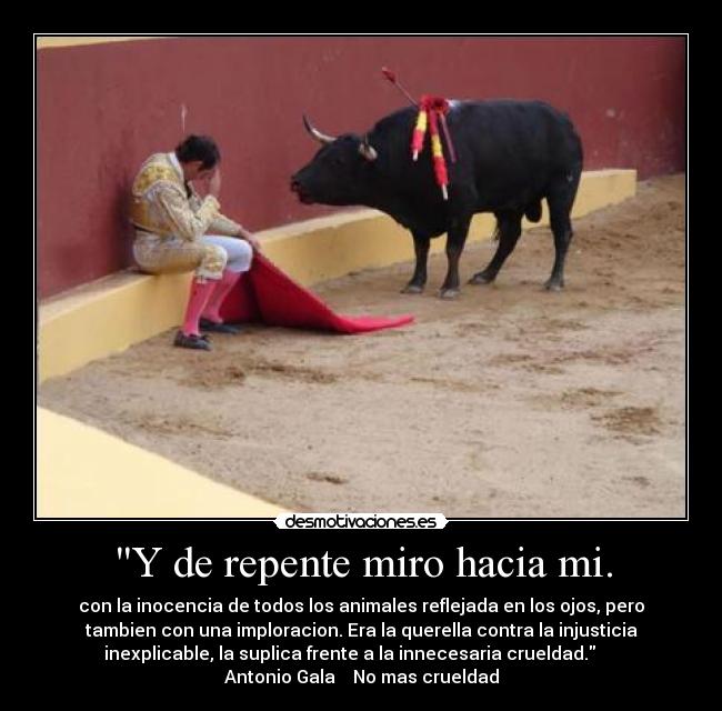 Y de repente miro hacia mi. - con la inocencia de todos los animales reflejada en los ojos, pero
tambien con una imploracion. Era la querella contra la injusticia
inexplicable, la suplica frente a la innecesaria crueldad.     
Antonio Gala    No mas crueldad