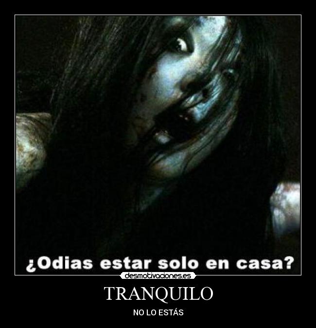 TRANQUILO - NO LO ESTÁS