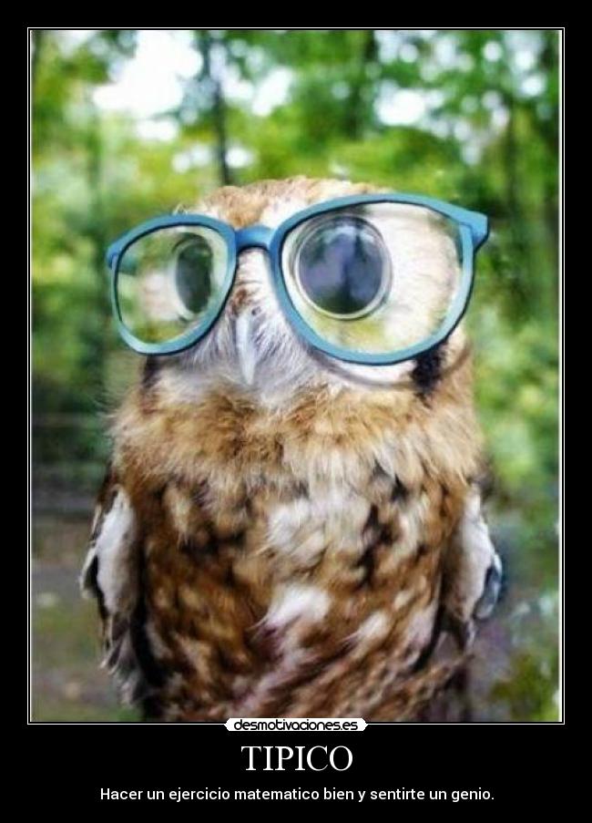 TIPICO - Hacer un ejercicio matematico bien y sentirte un genio.