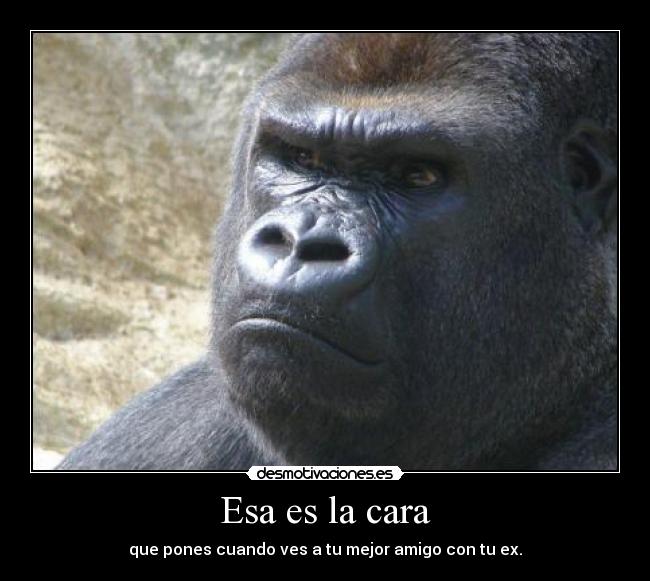 Esa es la cara - que pones cuando ves a tu mejor amigo con tu ex.