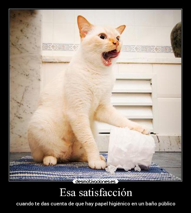 carteles satisfaccion maxima desmotivaciones