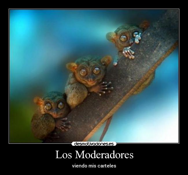 Los Moderadores - viendo mis carteles