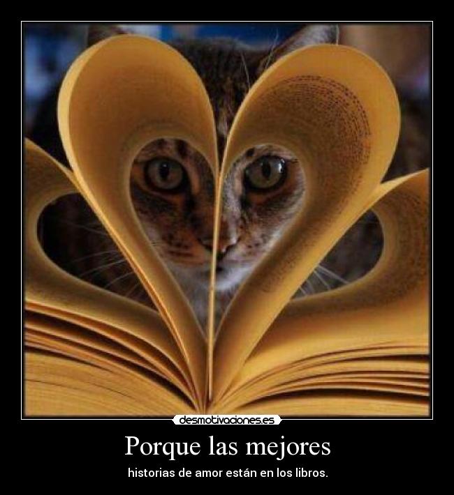 Porque las mejores - 