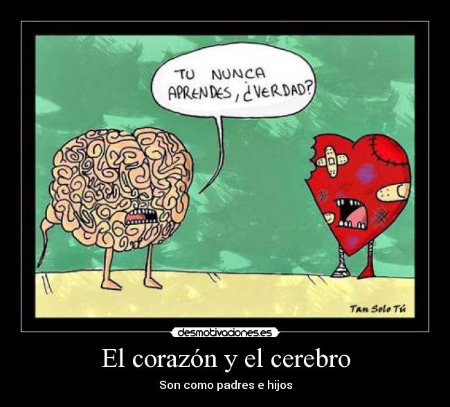 El corazón y el cerebro -