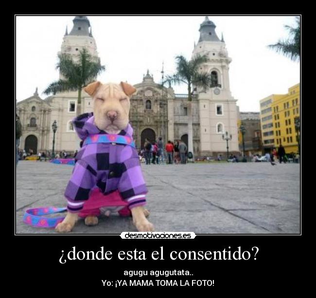 ¿donde esta el consentido? - agugu agugutata..
Yo: ¡YA MAMA TOMA LA FOTO!