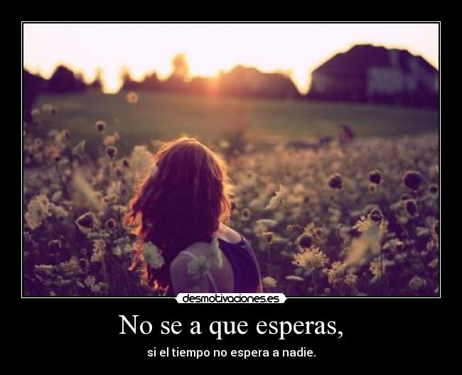 No se a que esperas, - 