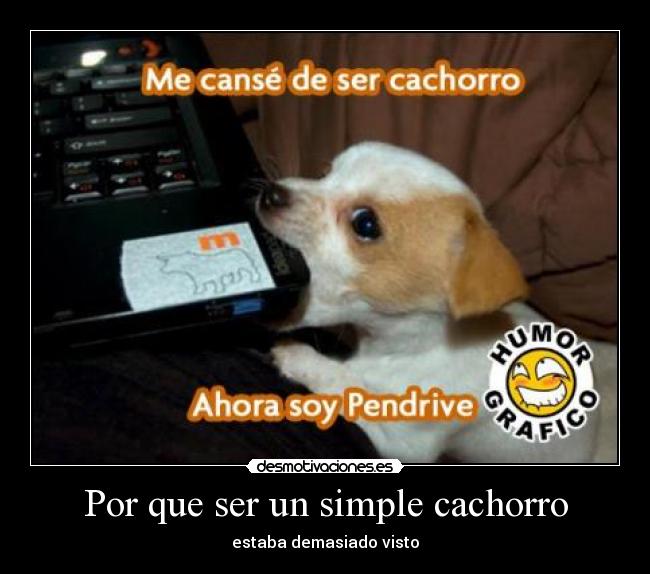 Por que ser un simple cachorro -