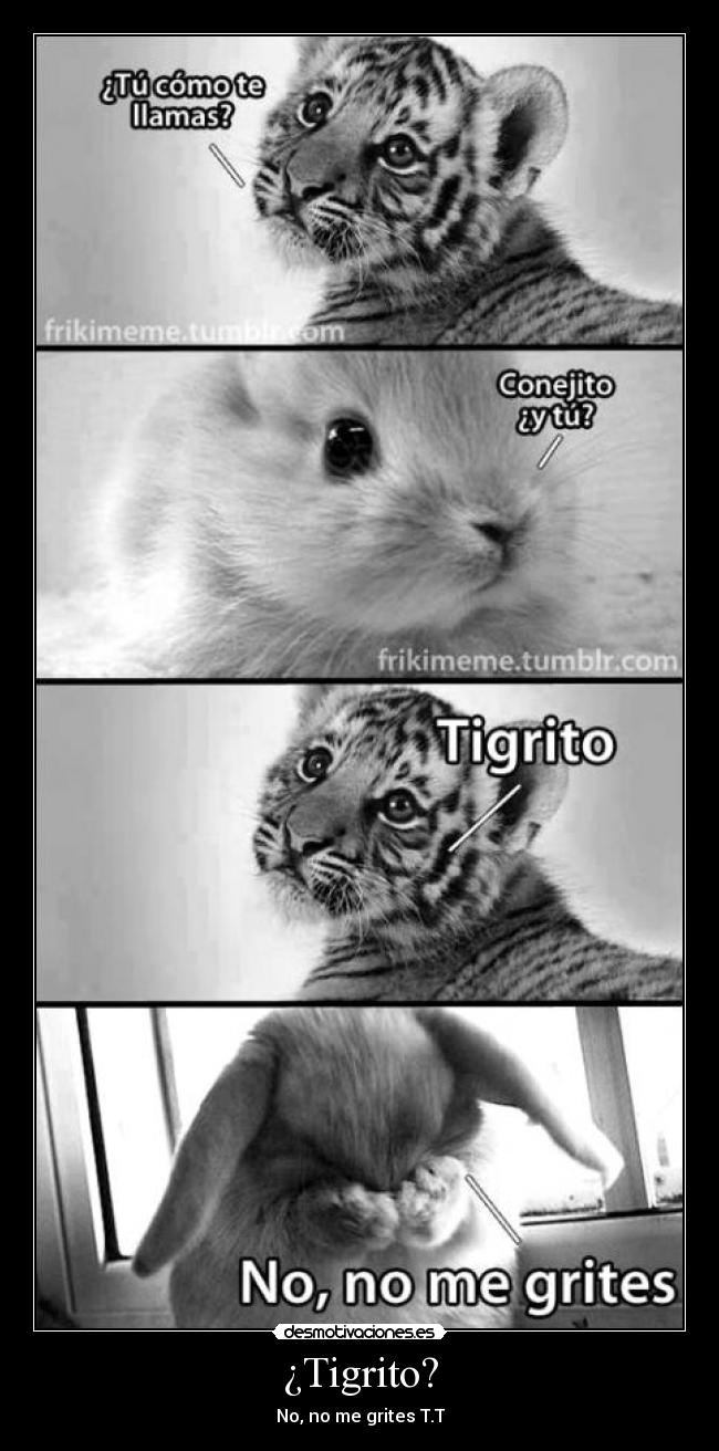 ¿Tigrito? - No, no me grites T.T