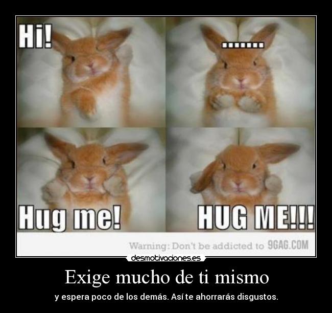 carteles amiraa desmotivaciones