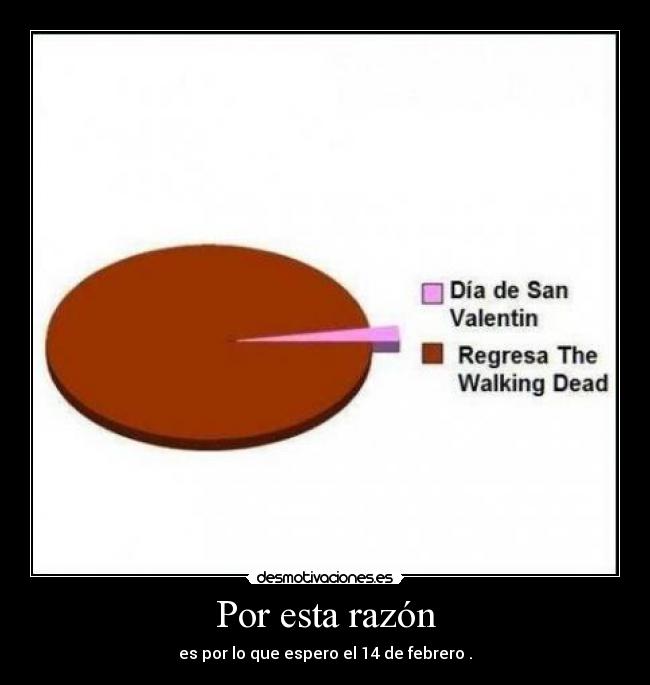 Por esta razón - es por lo que espero el 14 de febrero .